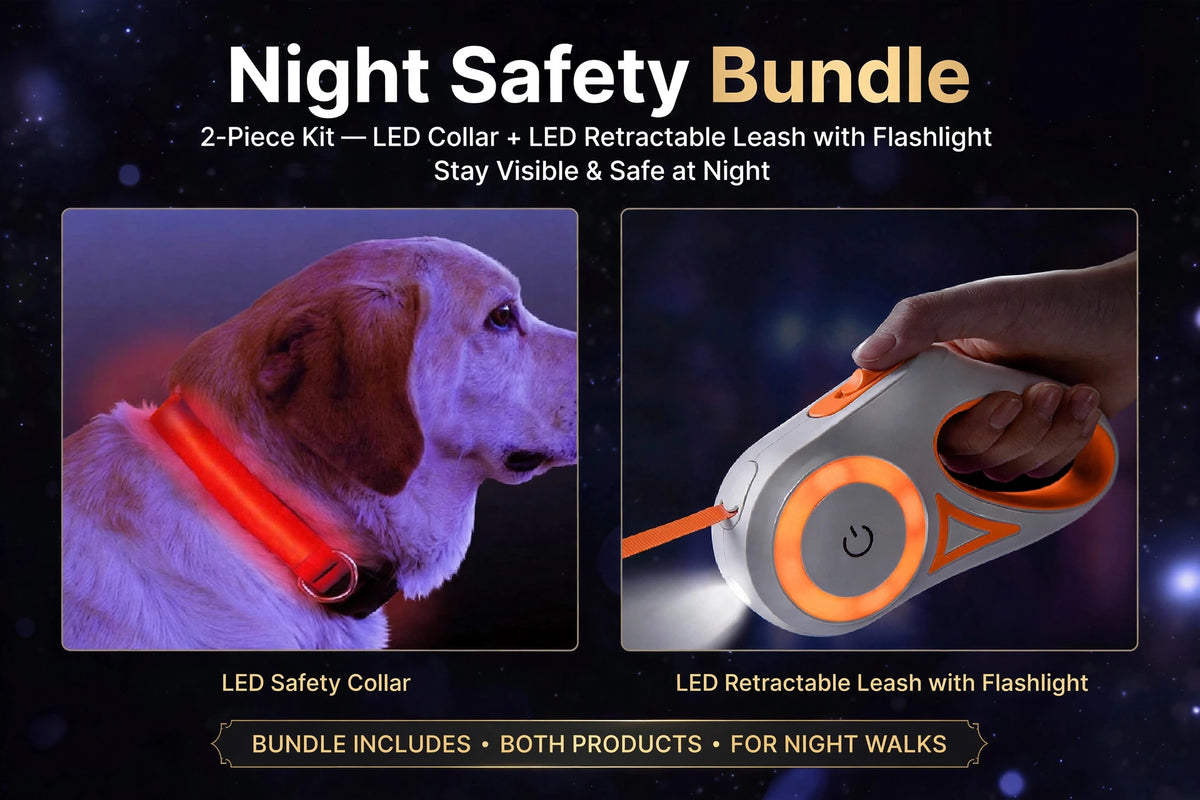 Night Safety Bundle - 2-Piece Kit — LED Collar + LED Retractable Leash with Flashlight